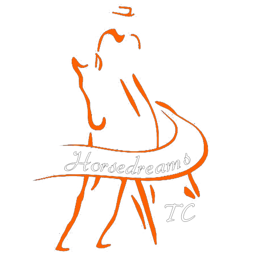 horsedreams logo